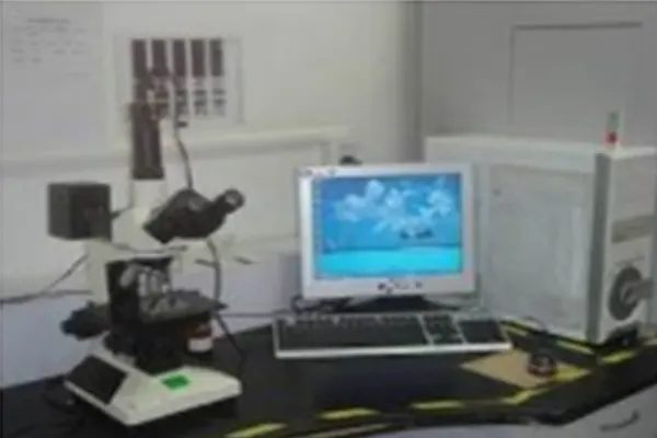 Microscope